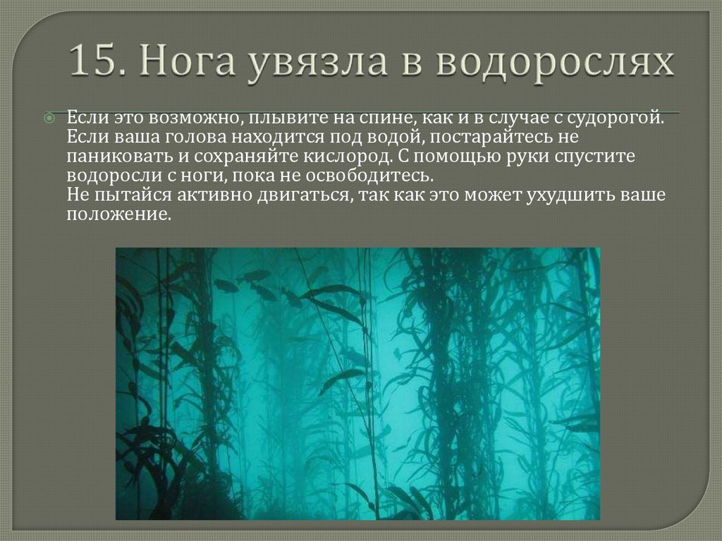 Водоросли вопросы. Запутался в водорослях. Если вы запутались в водорослях. Что делать если запутался в водорослях. Ноги запутались в водорослях.