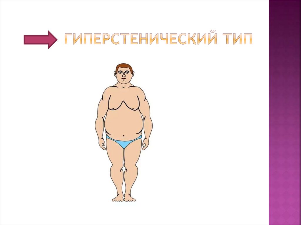 Гиперстенический тип