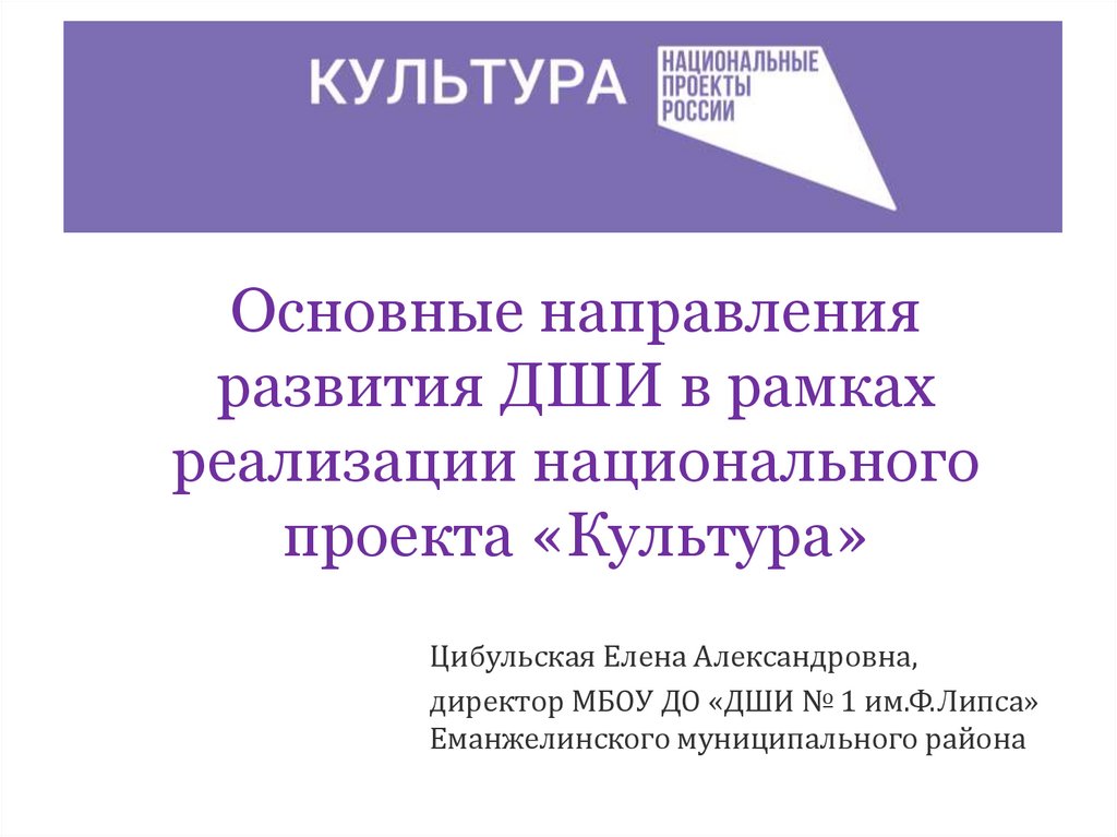 Презентация программы развития дши