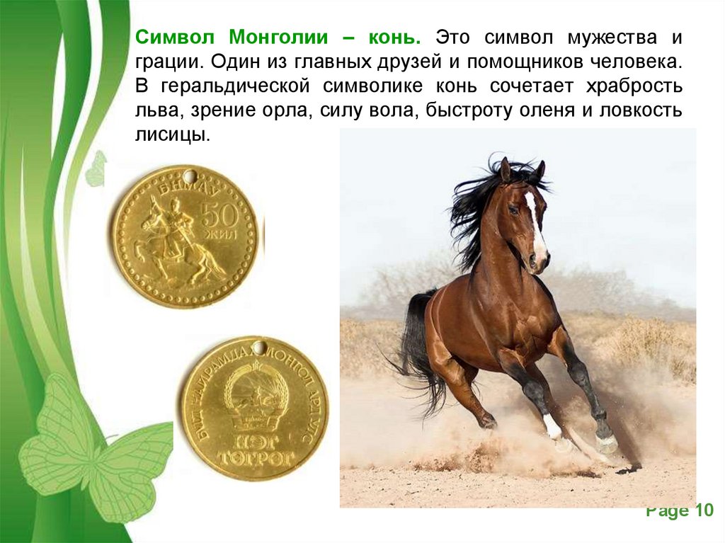 Что означает лошадь. Что символизирует конь. Символ Монголии конь. Что символизирует лошадь. Звери символы стран мира.