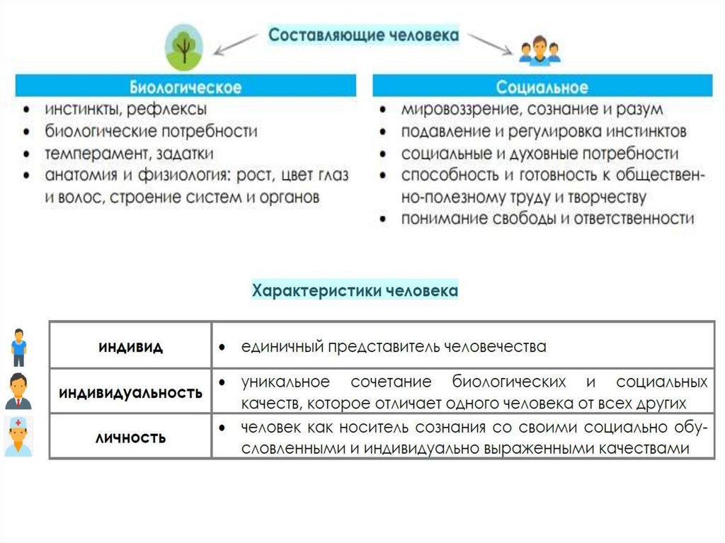 План биологическое и социальное в человеке обществознание егэ