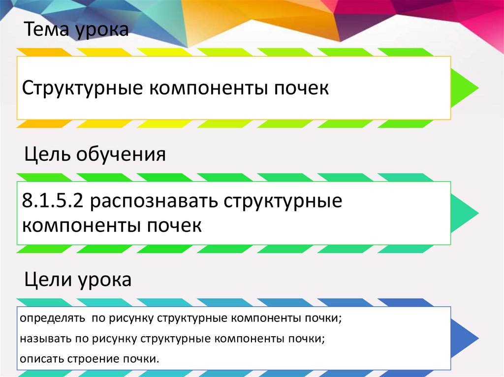 Структурные элементы презентации