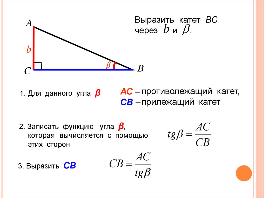 Катет косинус тангенс. Прилежащий и противолежащий катет синус и косинус. Синус косинус острого угла прямоугольного треугольника. Катеты синусы косинусы.