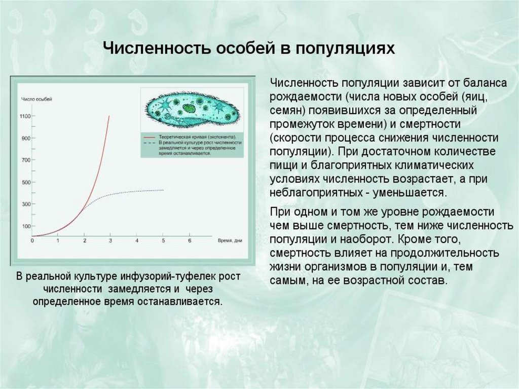 Изменение численности популяций презентация