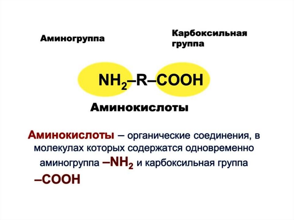 Аминокислоты - презентация онлайн