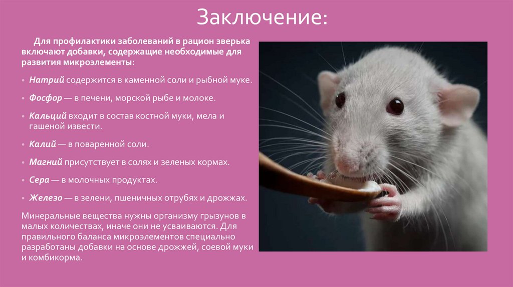 Заключение: