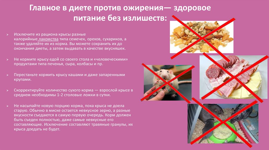 Главное в диете против ожирения— здоровое питание без излишеств: