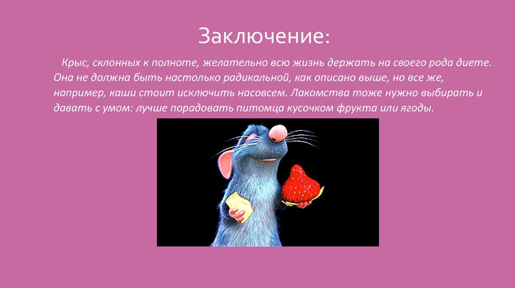 Заключение: