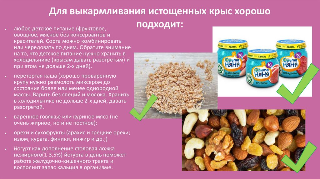 Для выкармливания истощенных крыс хорошо подходит: