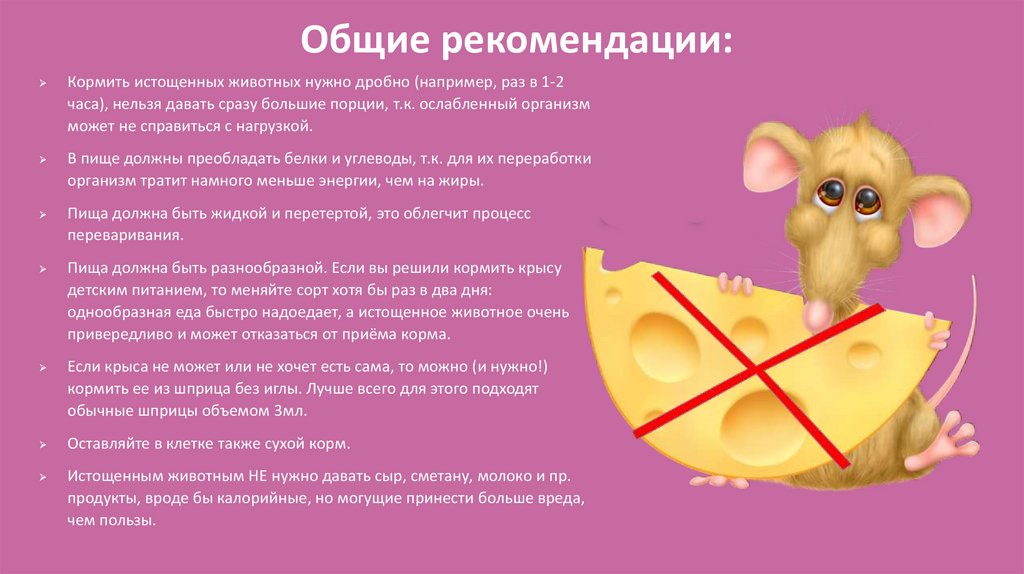 Общие рекомендации: