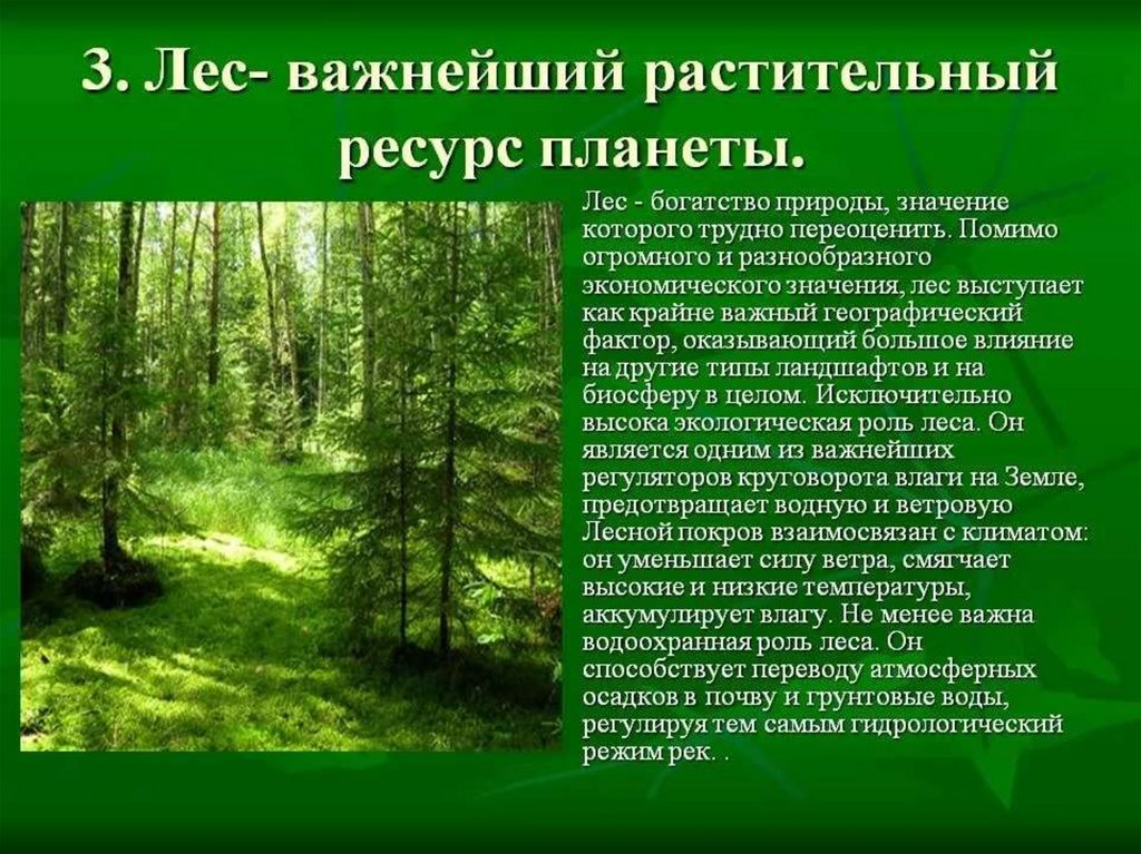 Проект на тему охрана природы в нашем крае 4 класс по окружающему миру