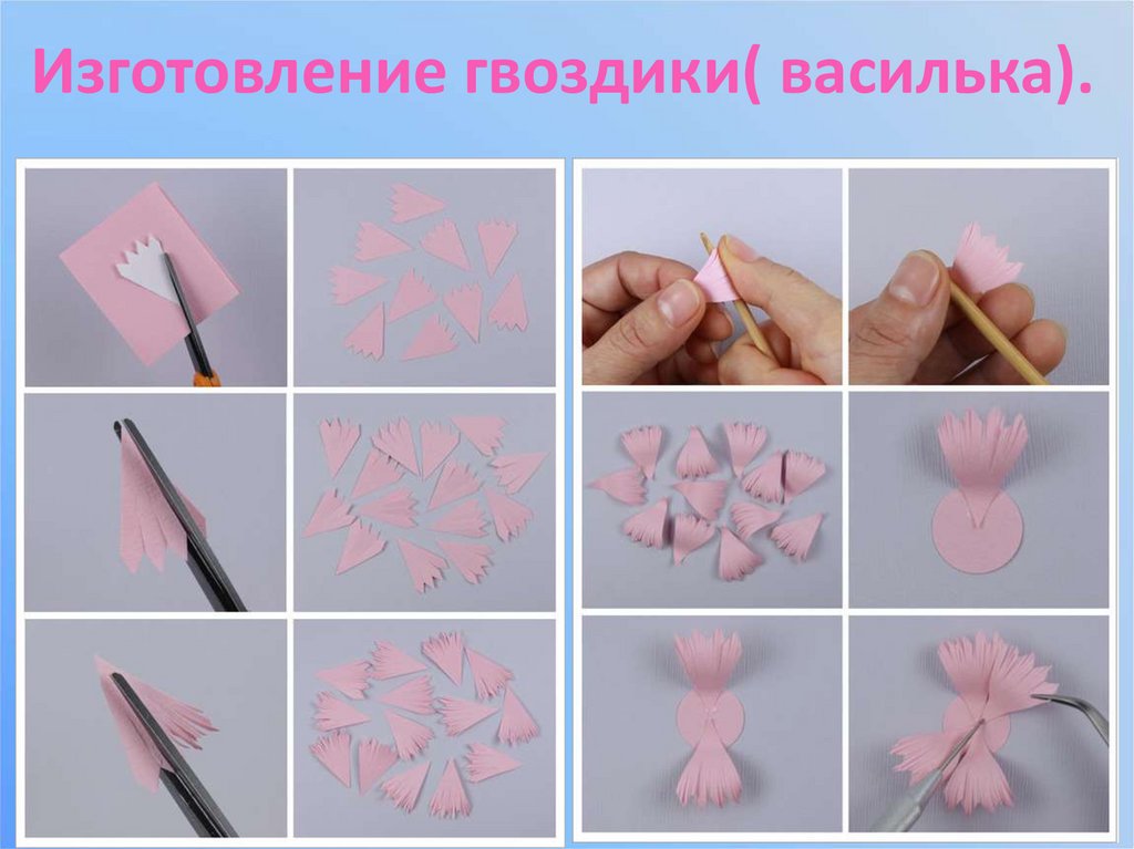 Изготовление гвоздики( василька).