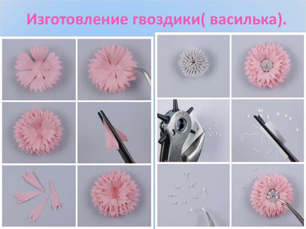 Изготовление гвоздики( василька).