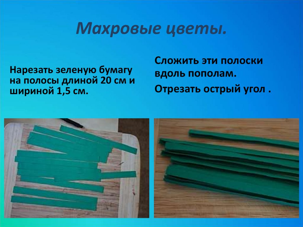 Махровые цветы.