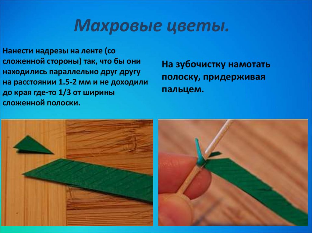 Махровые цветы.