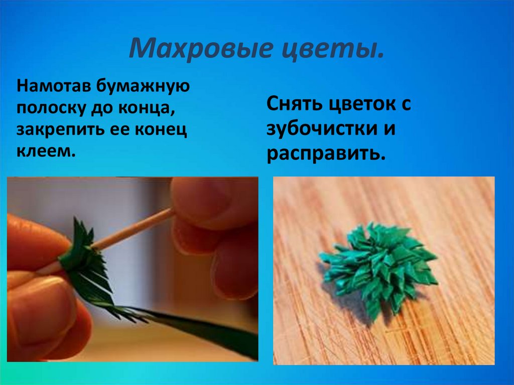 Махровые цветы.