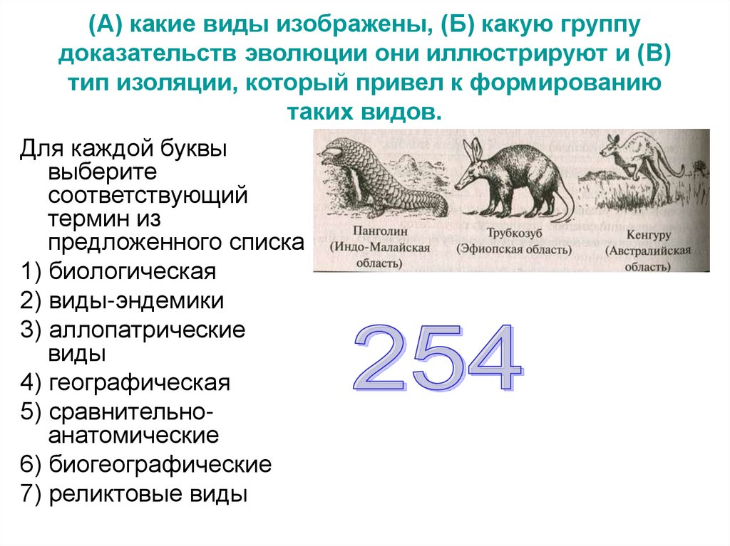 Контрольная работа по эволюции 9 класс биология