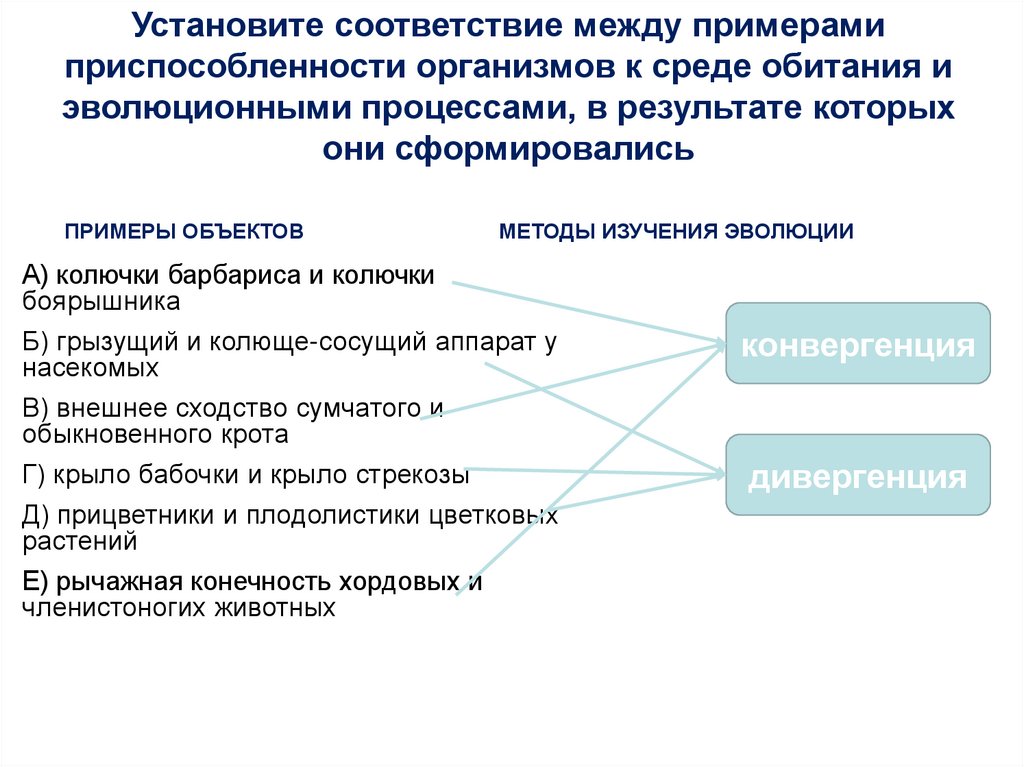 Факторы эволюции установите соответствие