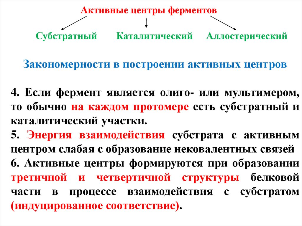 Липиды выполняют ферментативную функцию