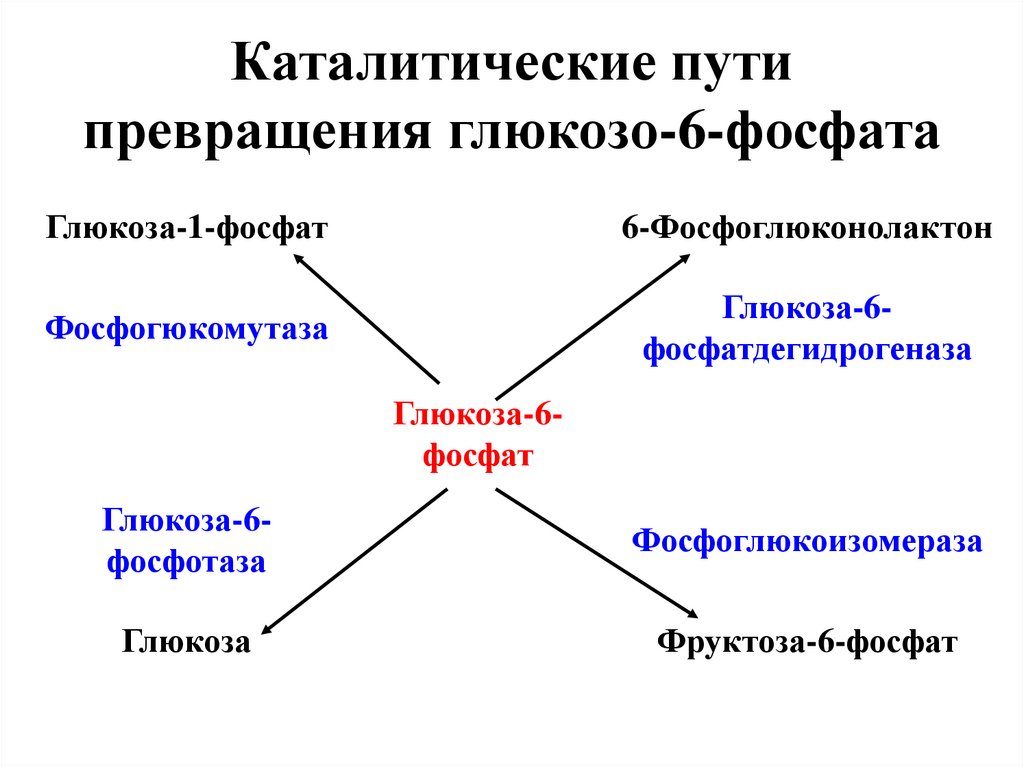 Путь трансформации