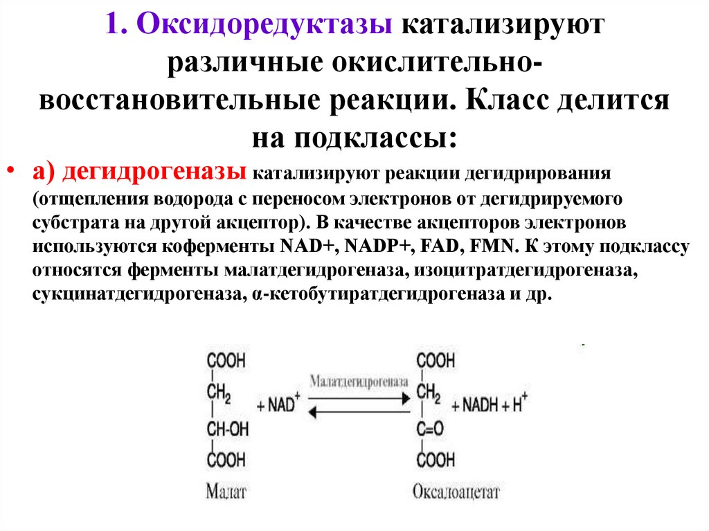 Зависимость химических свойств от строения