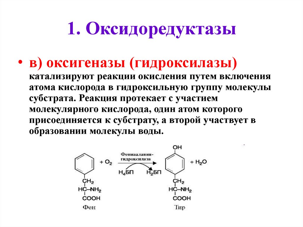 Оксидоредуктазы катализируют реакции. Оксидоредуктазы подклассы. Оксидоредуктазы классификация. Оксидоредуктазы примеры ферментов. Типы реакций катализируемых ферментами