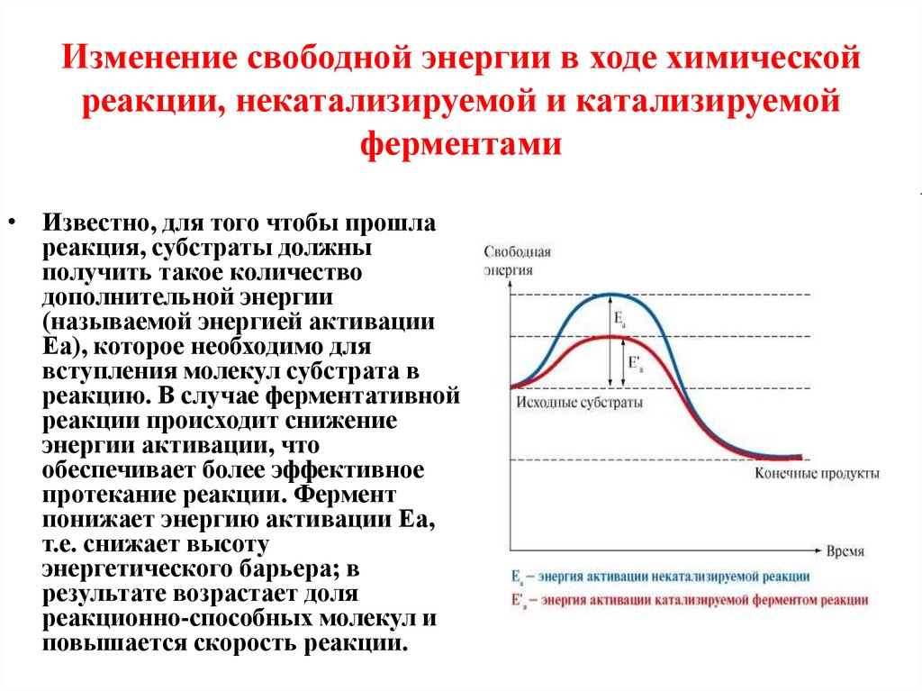 Свободный меняется