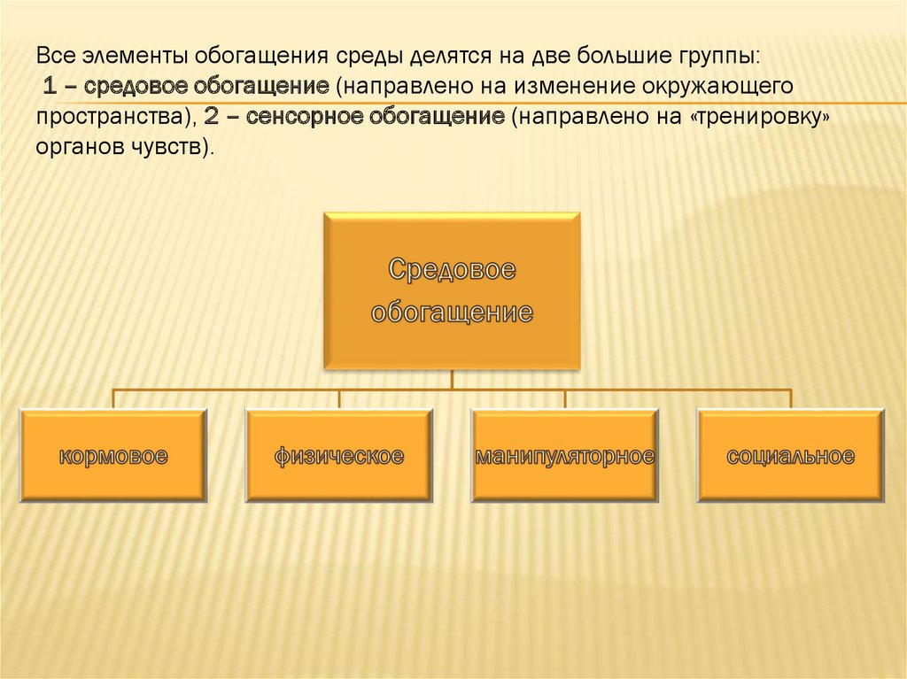 Среды обогащения. Обогащение среды виды. Среды обогащения для чего.