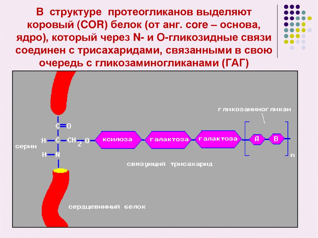 Биохимия соединительной ткани презентация