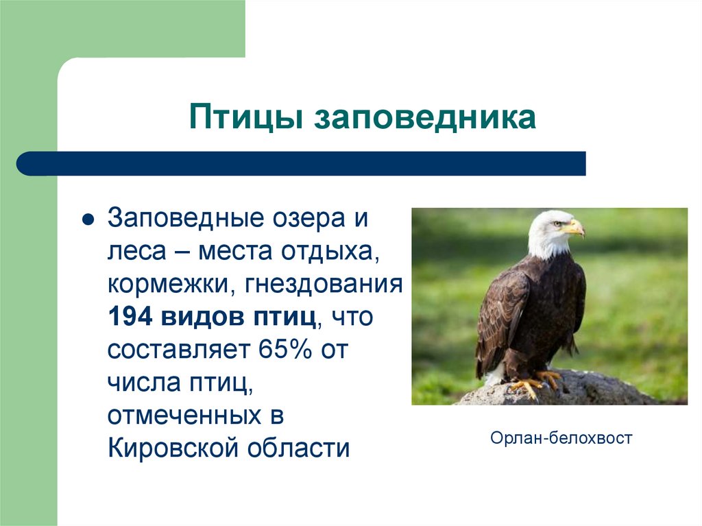 24 мая международный день заповедников презентация