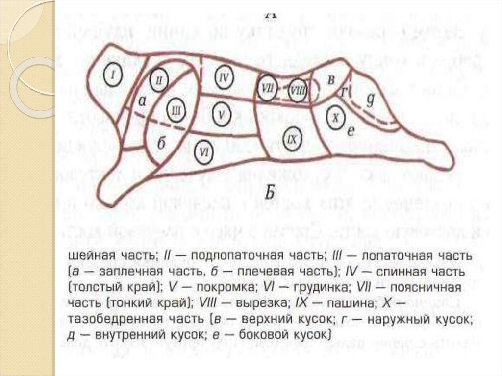 Разруб говядины схема