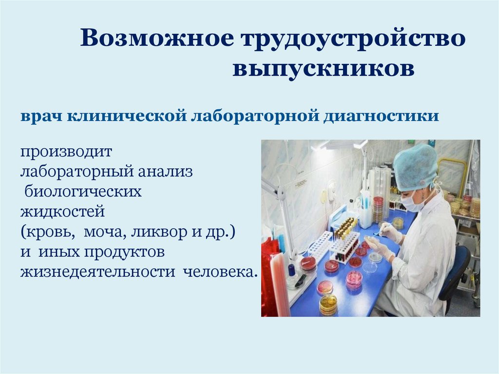 Возможное трудоустройство выпускников