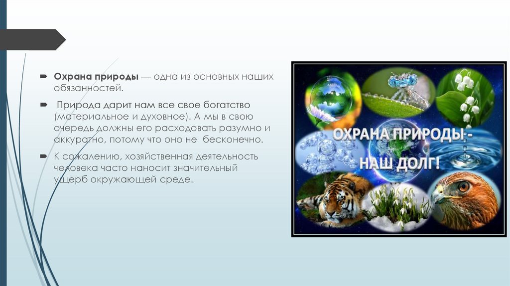 Охрана природы обязанность почему. Охрана природы обязанность каждого. Атлас природы охрана природы презентация.