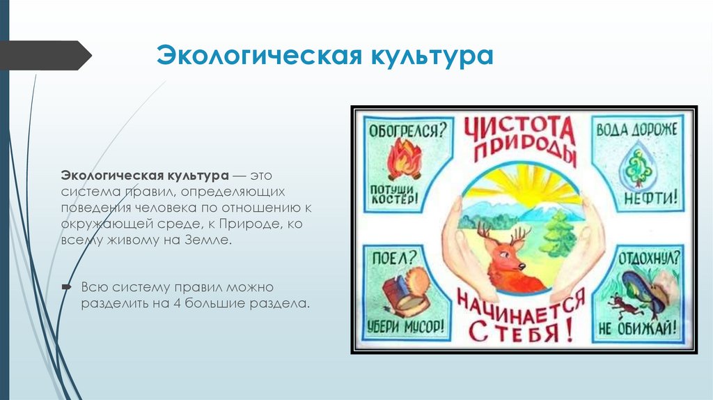 Экологическая культура