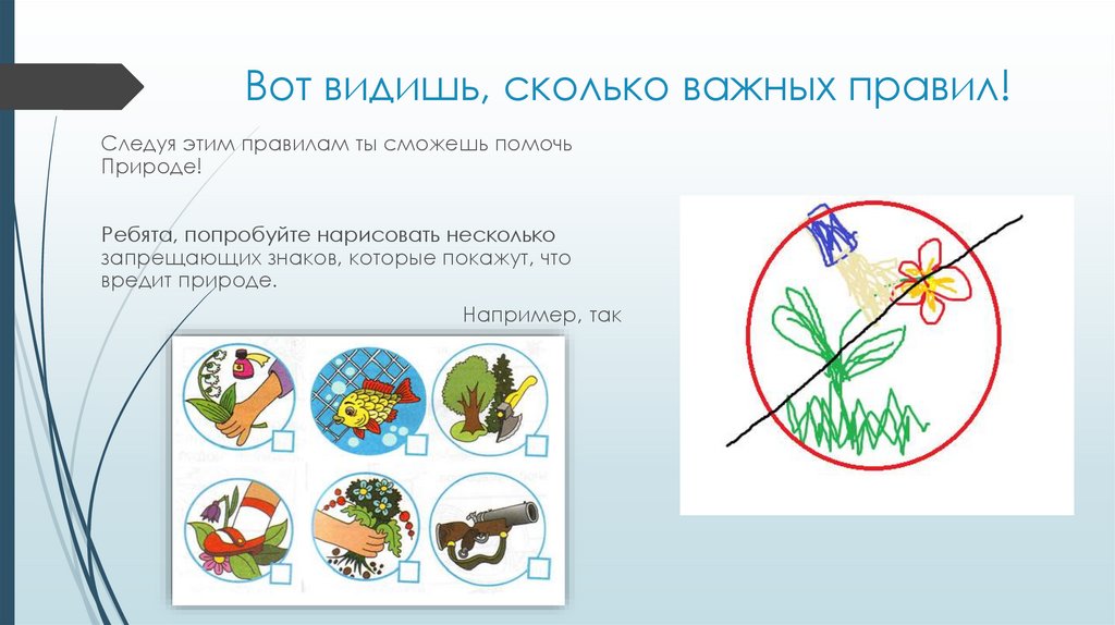 Охрана природы способствует