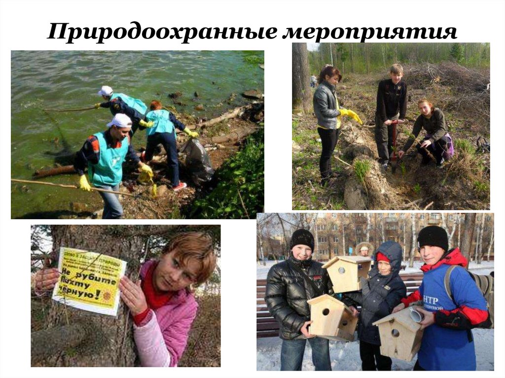 Природоохранные мероприятия