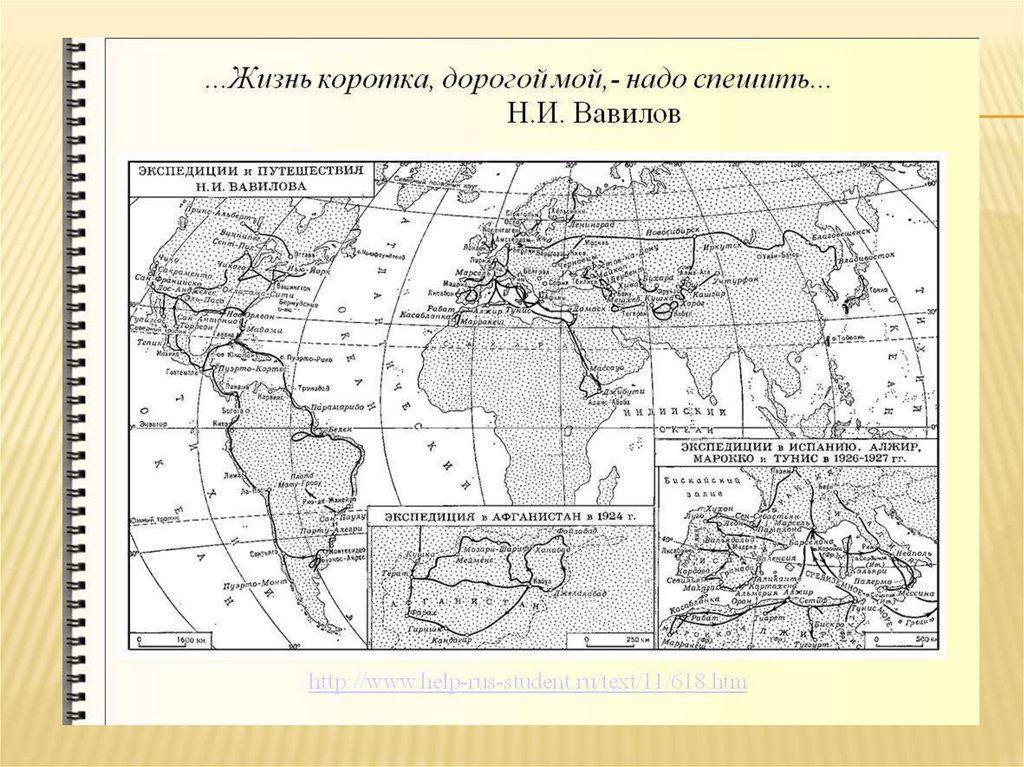 Путешествия Николая Ивановича Вавилова - online presentation