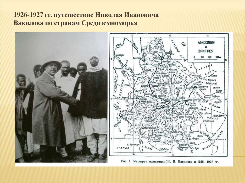 Путешествия Николая Ивановича Вавилова - презентация онлайн