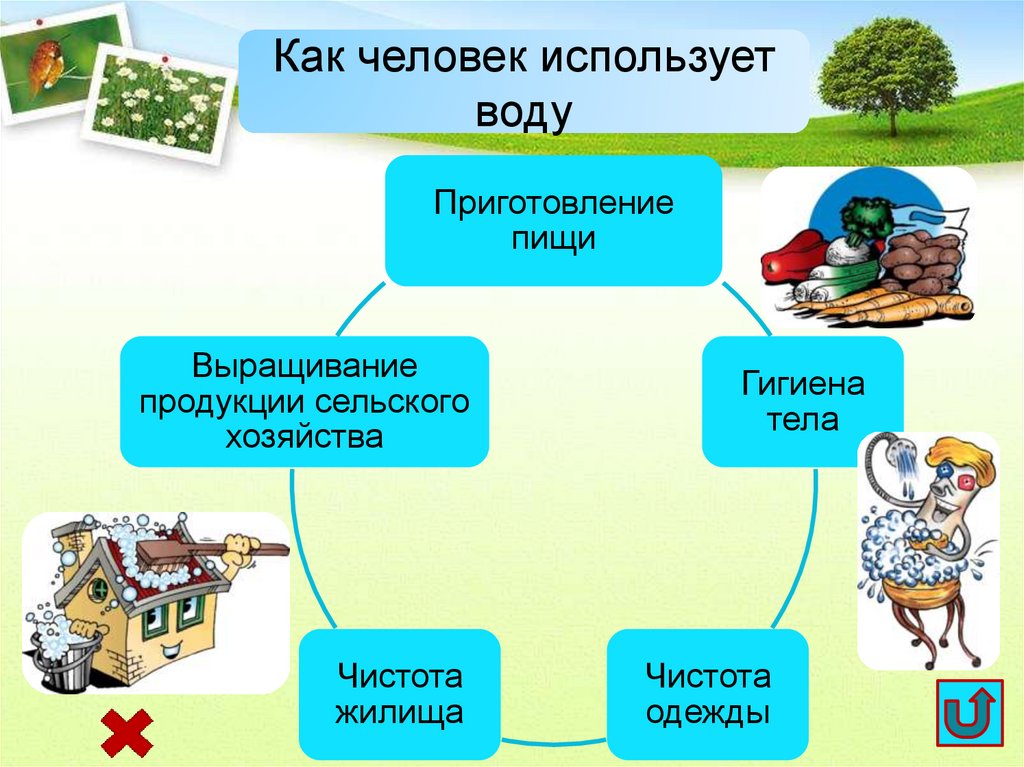 Как человек использует воду картинки для детей