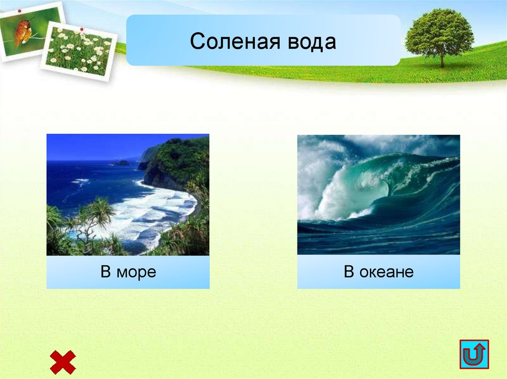 Где вода. Соленая вода в природе. Источники соленой воды. Источники соленой воды на земле. Пресная вода в природе.