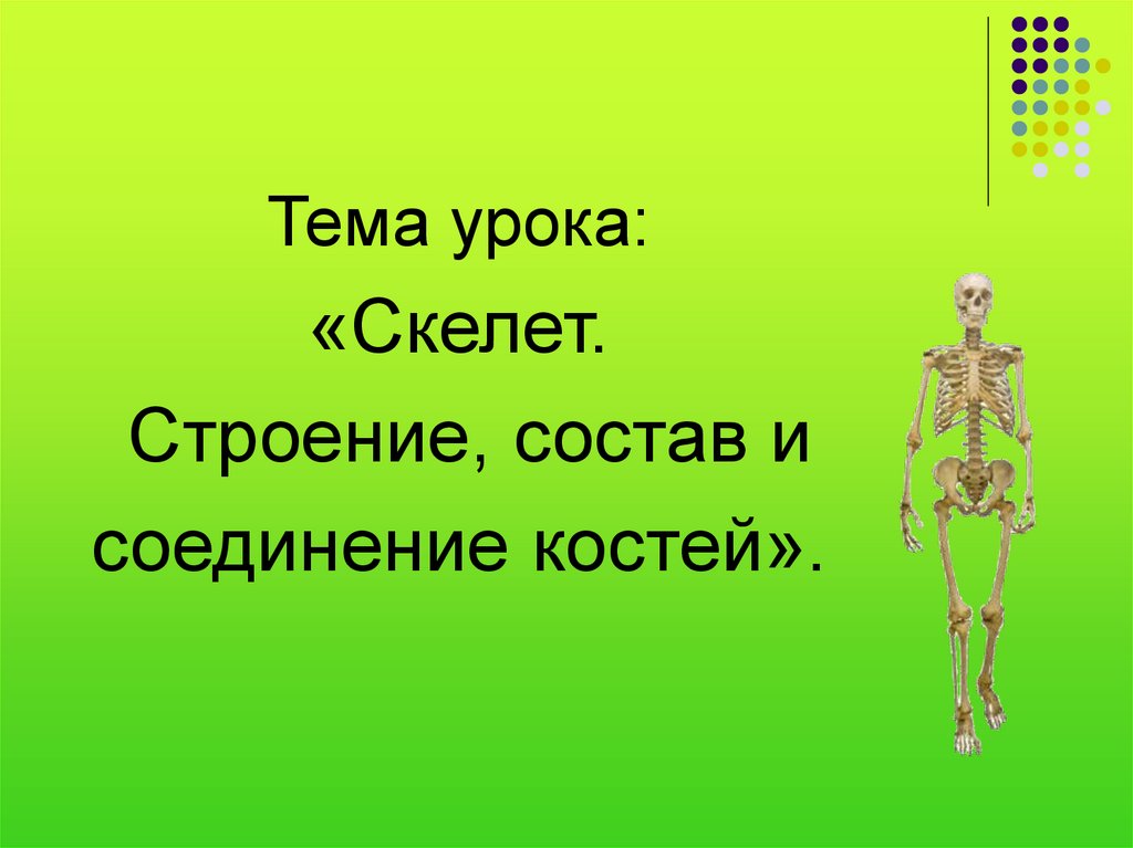 Презентация кости. Скелет. Строение, состав и соединения Косте. Презентация на тему скелет строение и соединение костей. Тема урока :кости. Скелет строение и соединение костей строение костей.