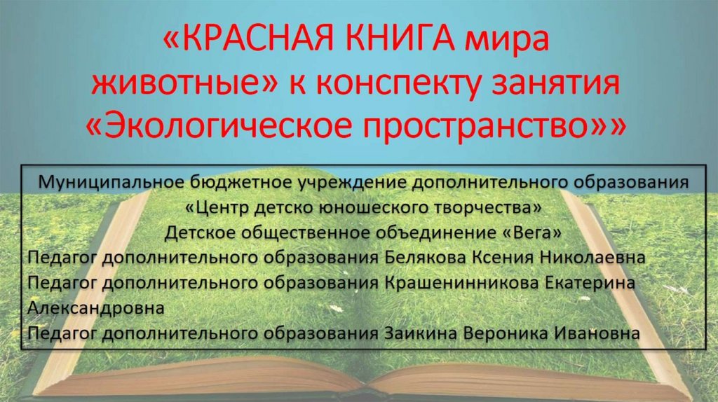 План конспект экологическое право 11 класс