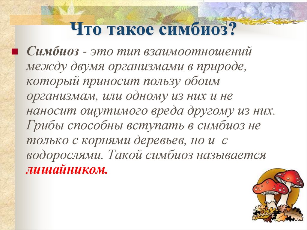 Симбиоз между. Симбиоз это Тип взаимоотношений. Симбиоз это Тип взаимоотношений между двумя организмами. Симбиоз это Тип взаимоотношений между 2 организмами при котором. Симбиоз - это отношения между:.