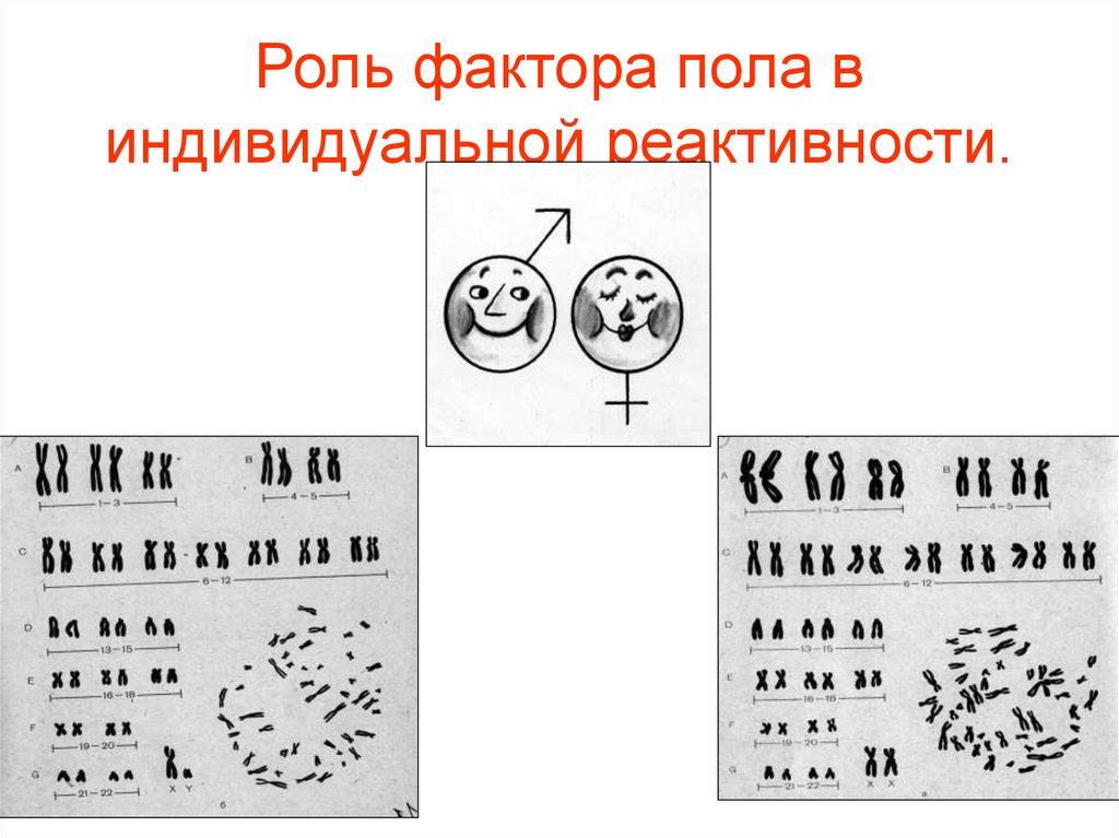 Реактивность организма картинки