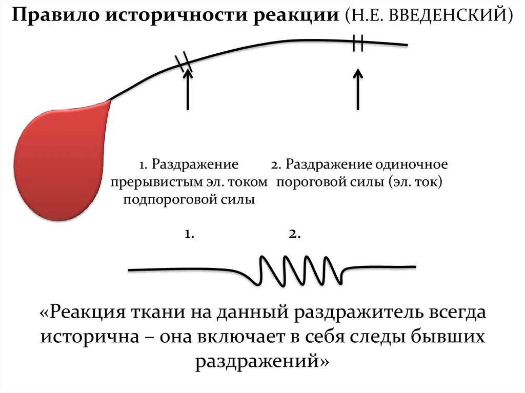 Реактивность организма картинки