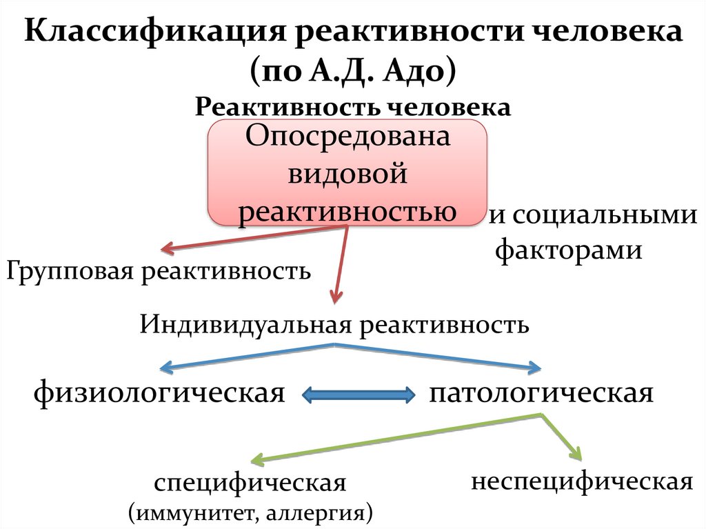 Видовая реактивность. Классификация реактивности. Групповая реактивность примеры. Виды реактивности патофизиология. Реактивность организма классификация.