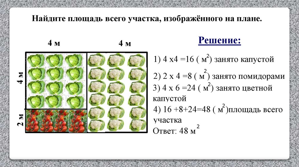 Квадратный метр презентация