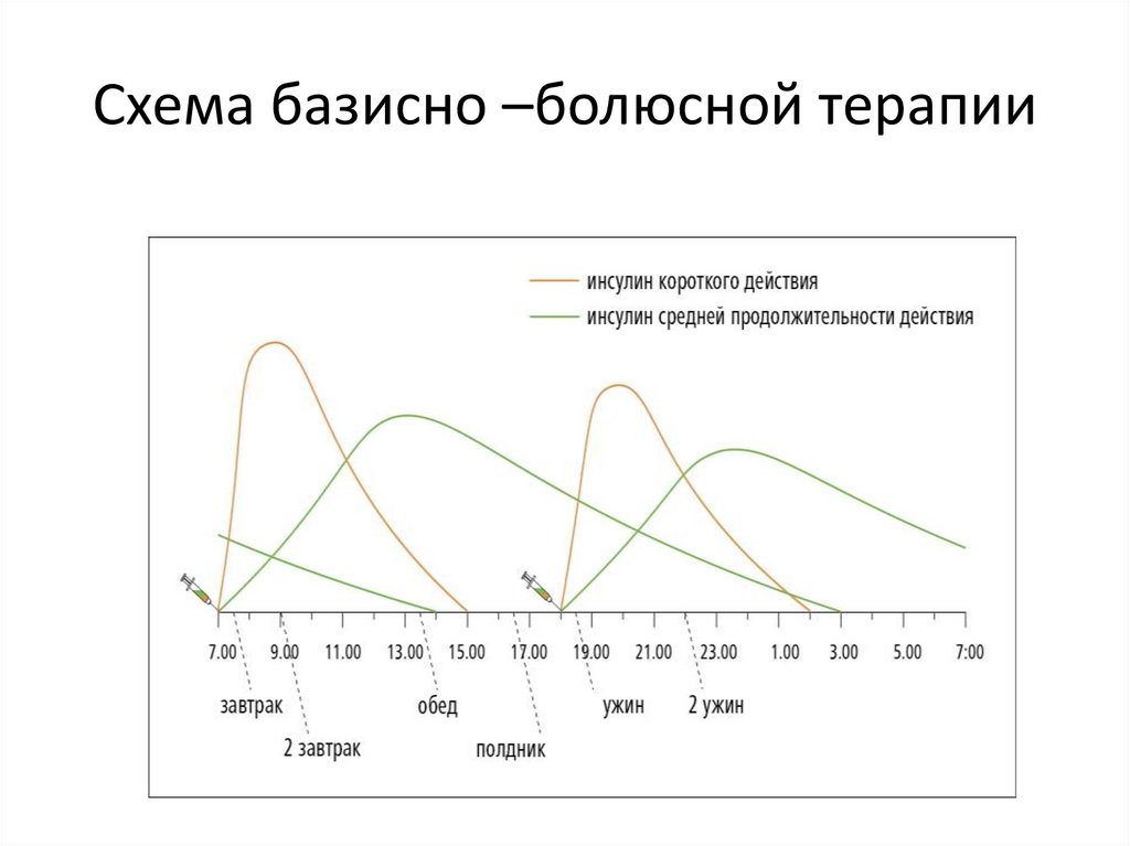 Схема базисно –болюсной терапии