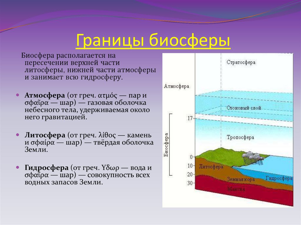 Границы биосферы в атмосфере определяются. Границы биосферы атмосфера гидросфера литосфера таблица. Литосфера Биосфера Агросфера. Атмосфера гидросфера литосфера Биосфера таблица. Атмосфера стратосфера Тропосфера литосфера.