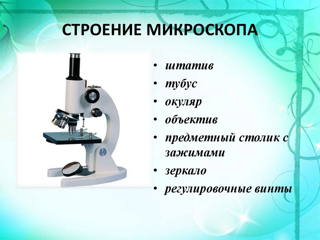 Какую часть работы выполняет окуляр. Биология 5 кл строение микроскопа. Микроскоп строение микроскопа. Строение микроскопа 7 класс биология. Строение микроскопа 5 класс цифрового микроскопа.